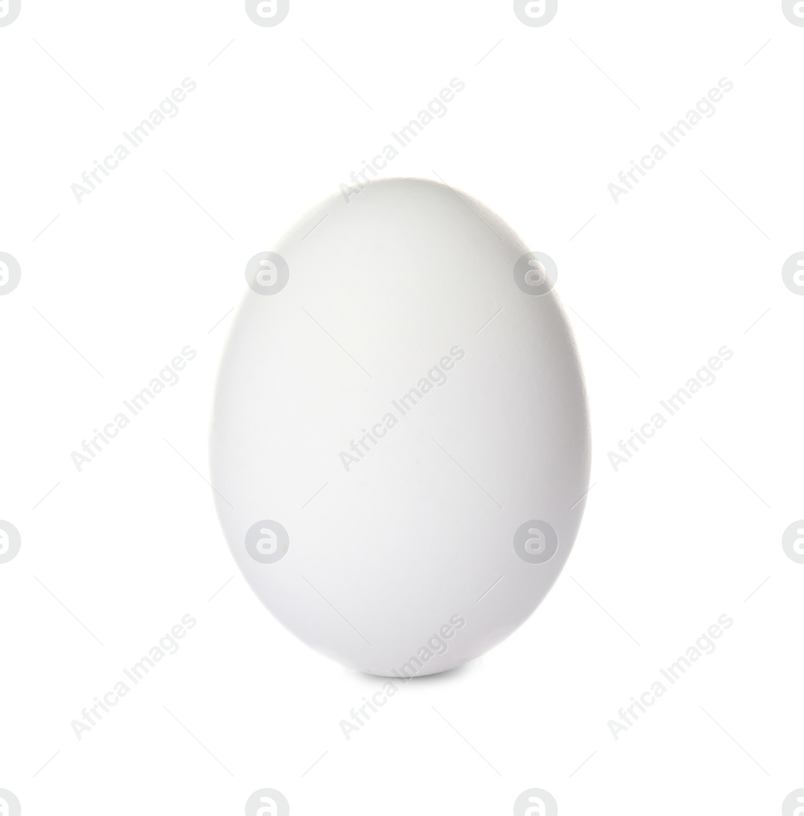 Photo of Single raw chicken egg on white background