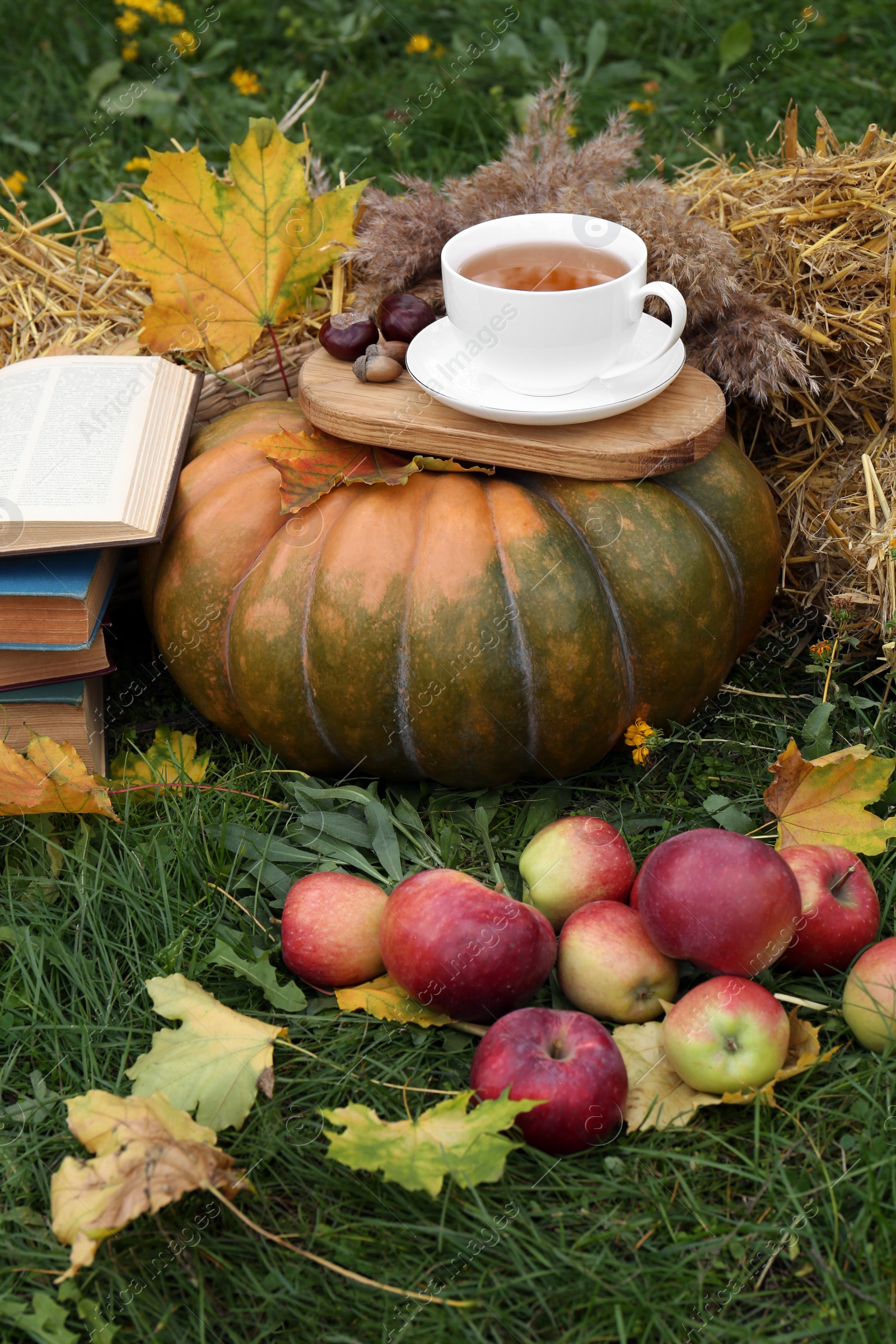 Photo of Books, pumpkin, apples and cup of tea on green grass outdoors. Autumn season