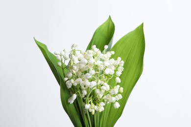 Beautiful lily of the valley flowers with leaves on light grey background, closeup