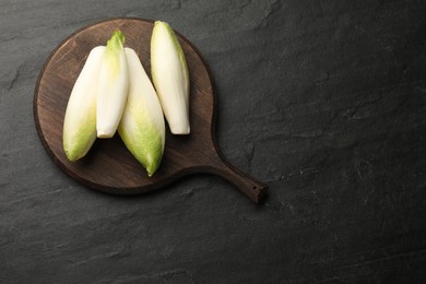 Photo of Fresh raw Belgian endives (chicory) on black table, top view. Space for text