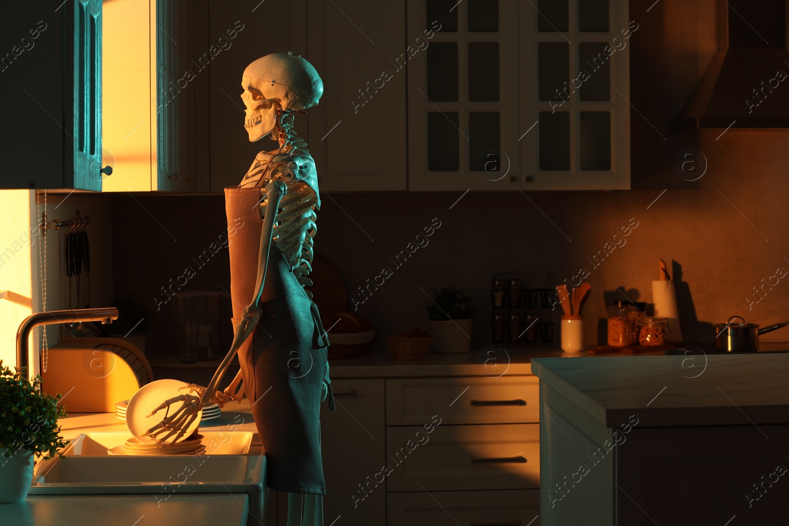 Photo of Human skeleton washing dishes in kitchen sink at night