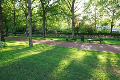 Photo of Park with green grass and beautiful flowers on sunny day. Spring season