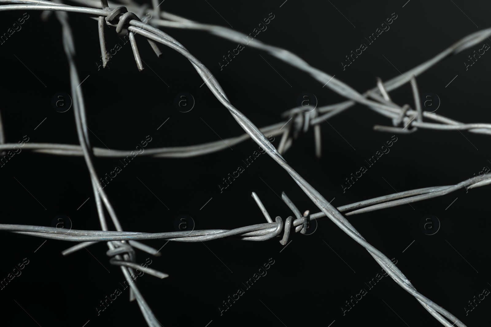 Photo of Metal barbed wire on black background, closeup