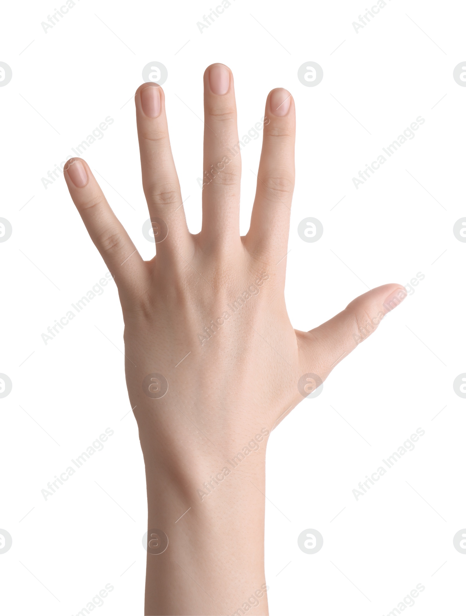 Photo of Woman against white background, closeup of hand