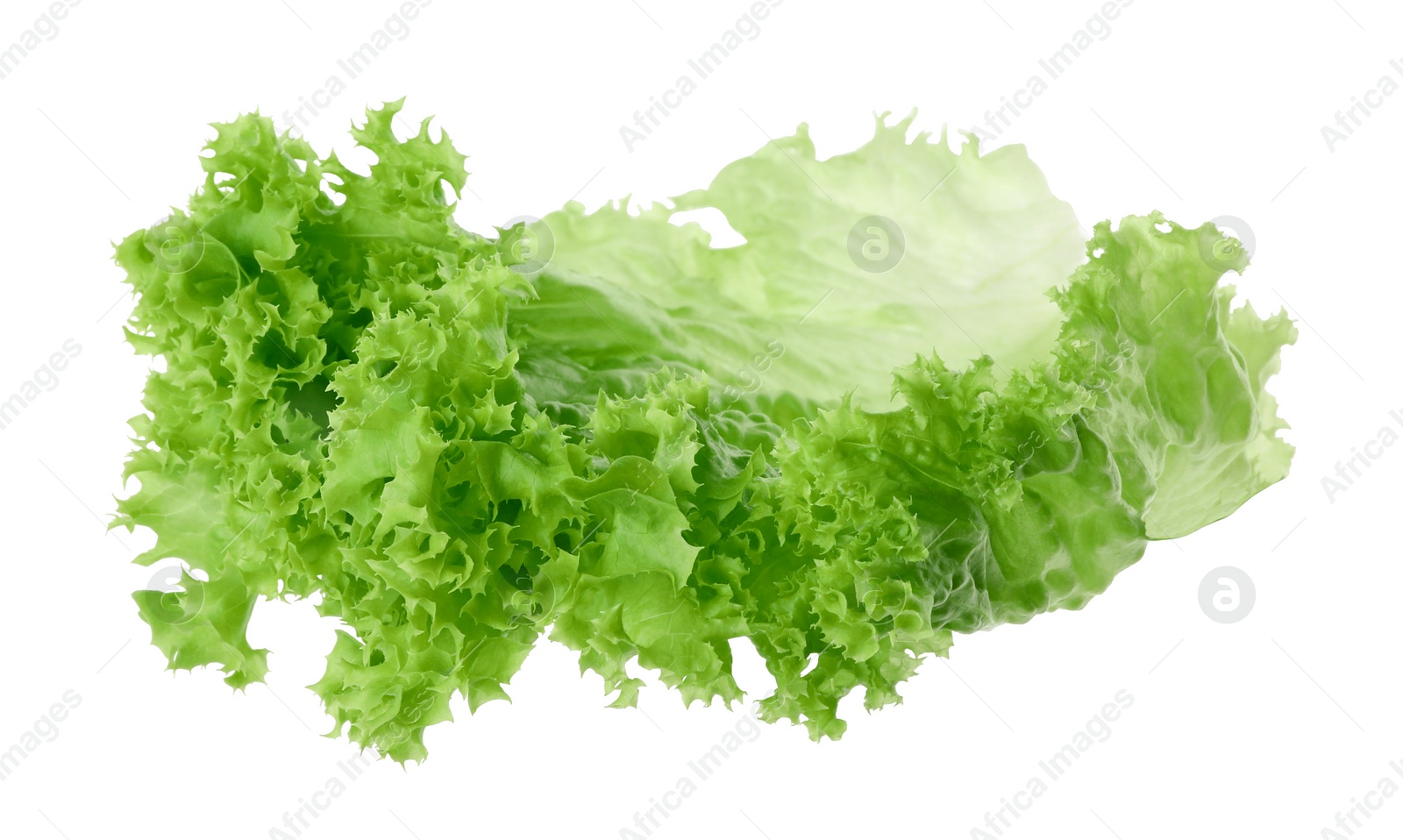 Photo of One green lettuce leaf isolated on white. Salad greens