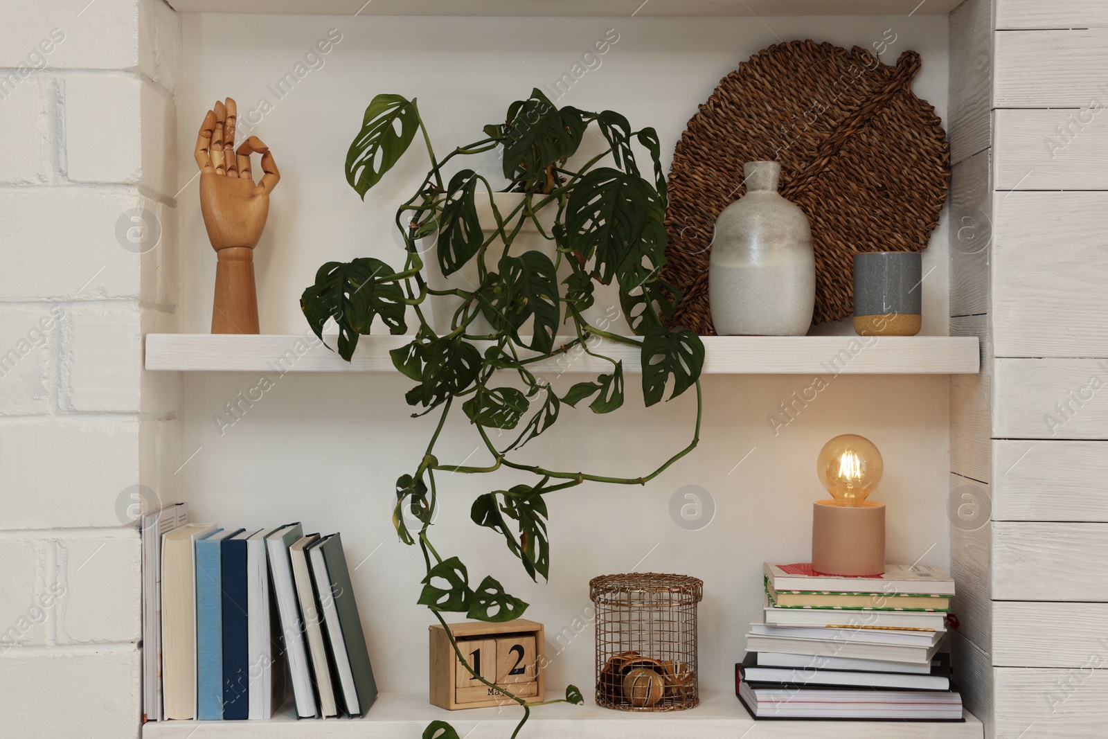 Photo of Beautiful green plant and different decor on shelves indoors. Interior design