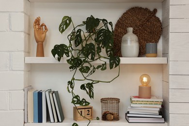 Beautiful green plant and different decor on shelves indoors. Interior design