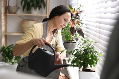 Photo of Mature woman watering plant on windowsill at home. Engaging hobby