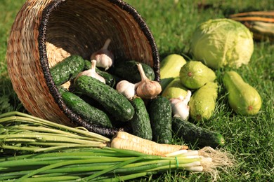 Photo of Scattered fresh ripe vegetables and wicker basket on green grass, closeup