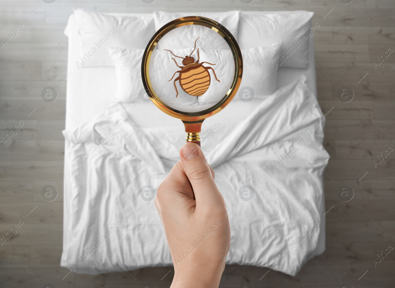 Image of Woman with magnifying glass detecting bed bugs in bedroom, top view
