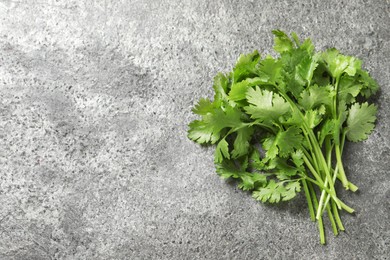 Bunch of fresh green cilantro on grey table, top view. Space for text