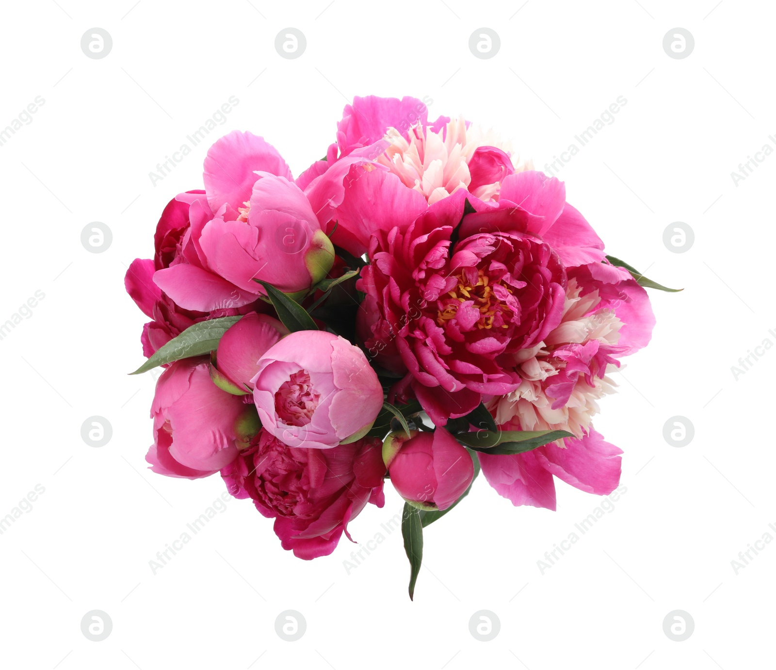 Photo of Bouquet of beautiful peonies on white background