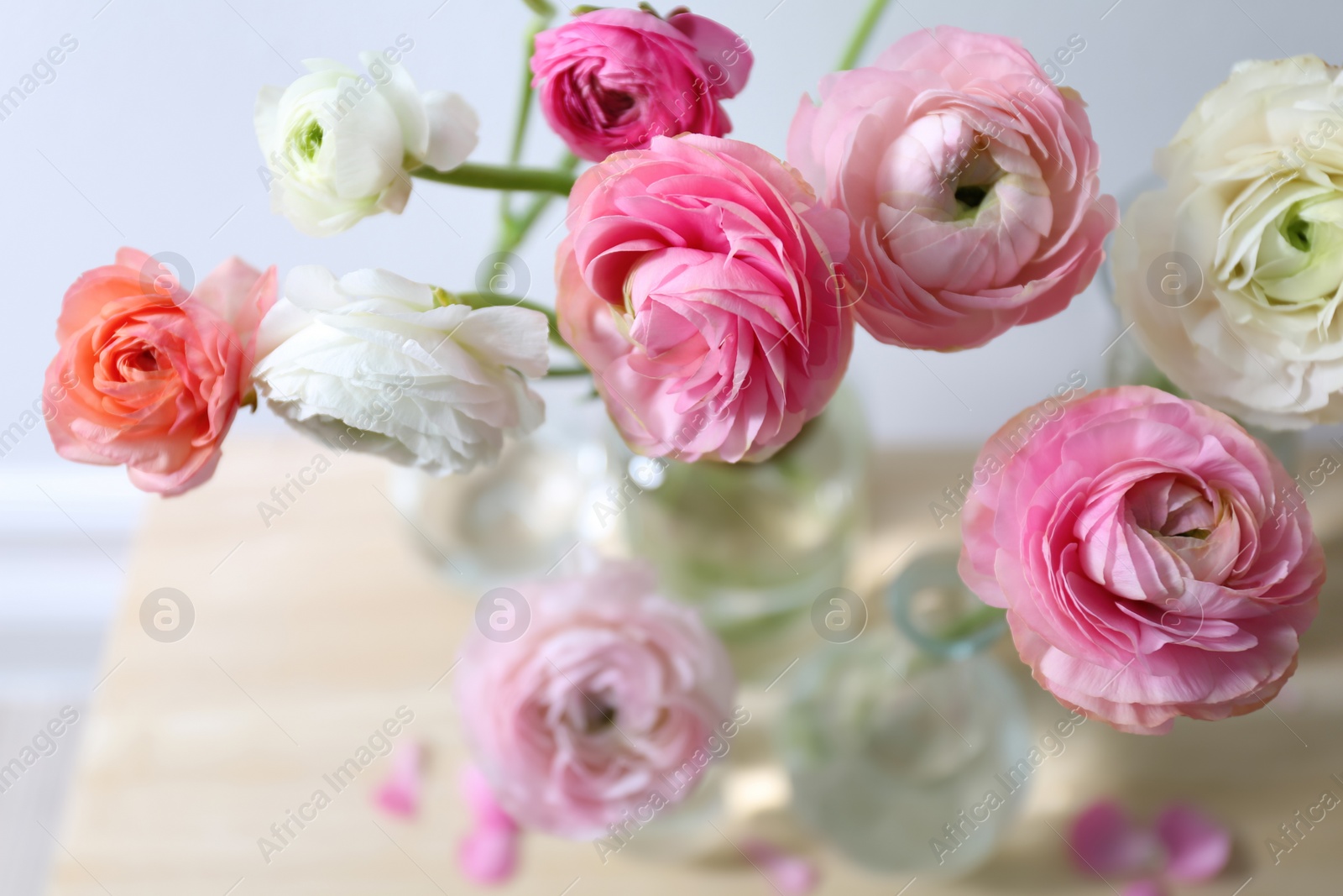 Photo of Beautiful fresh ranunculus flowers on table, closeup view