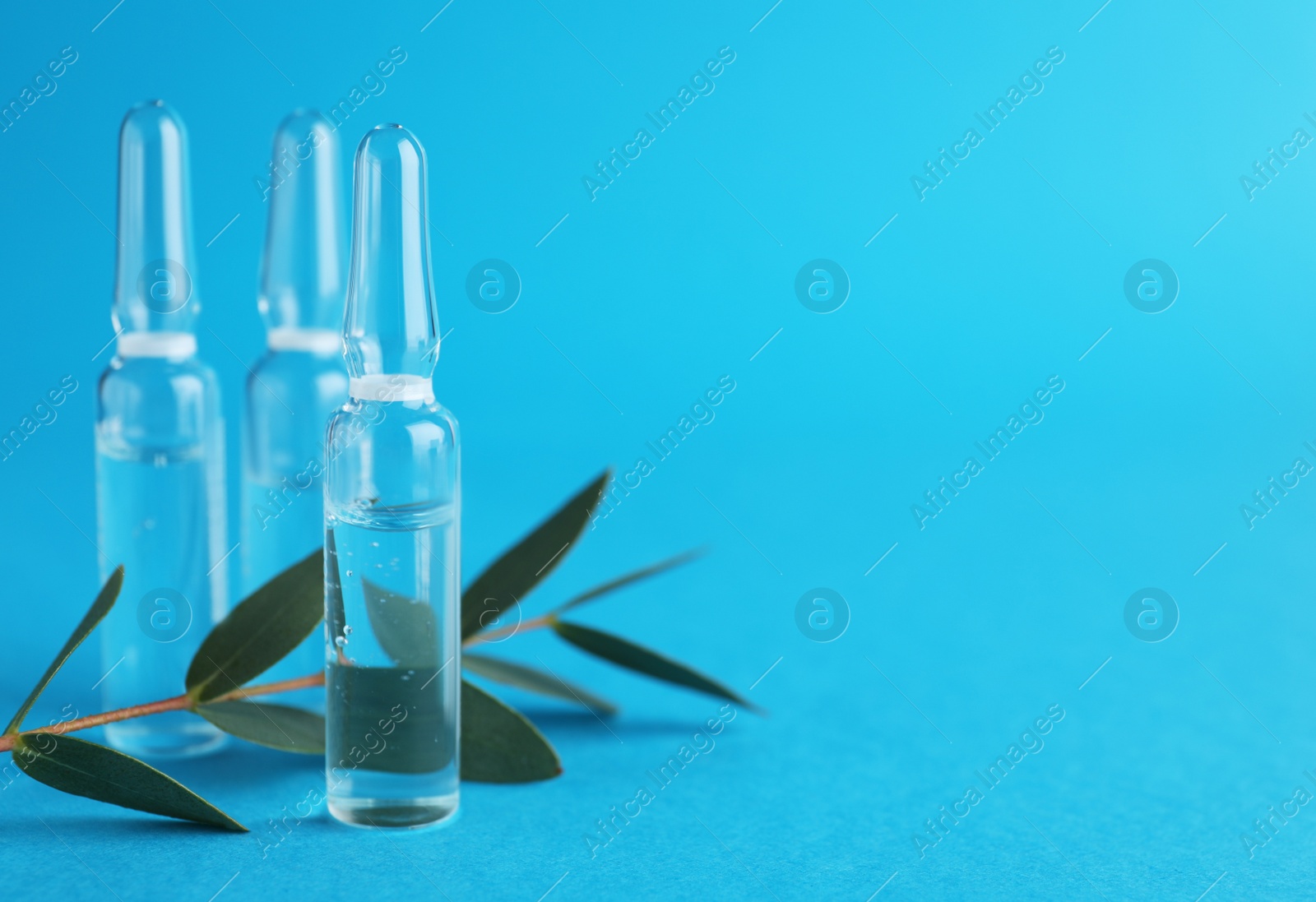Photo of Medical ampoules with solution and eucalyptus branch on light blue background. Space for text