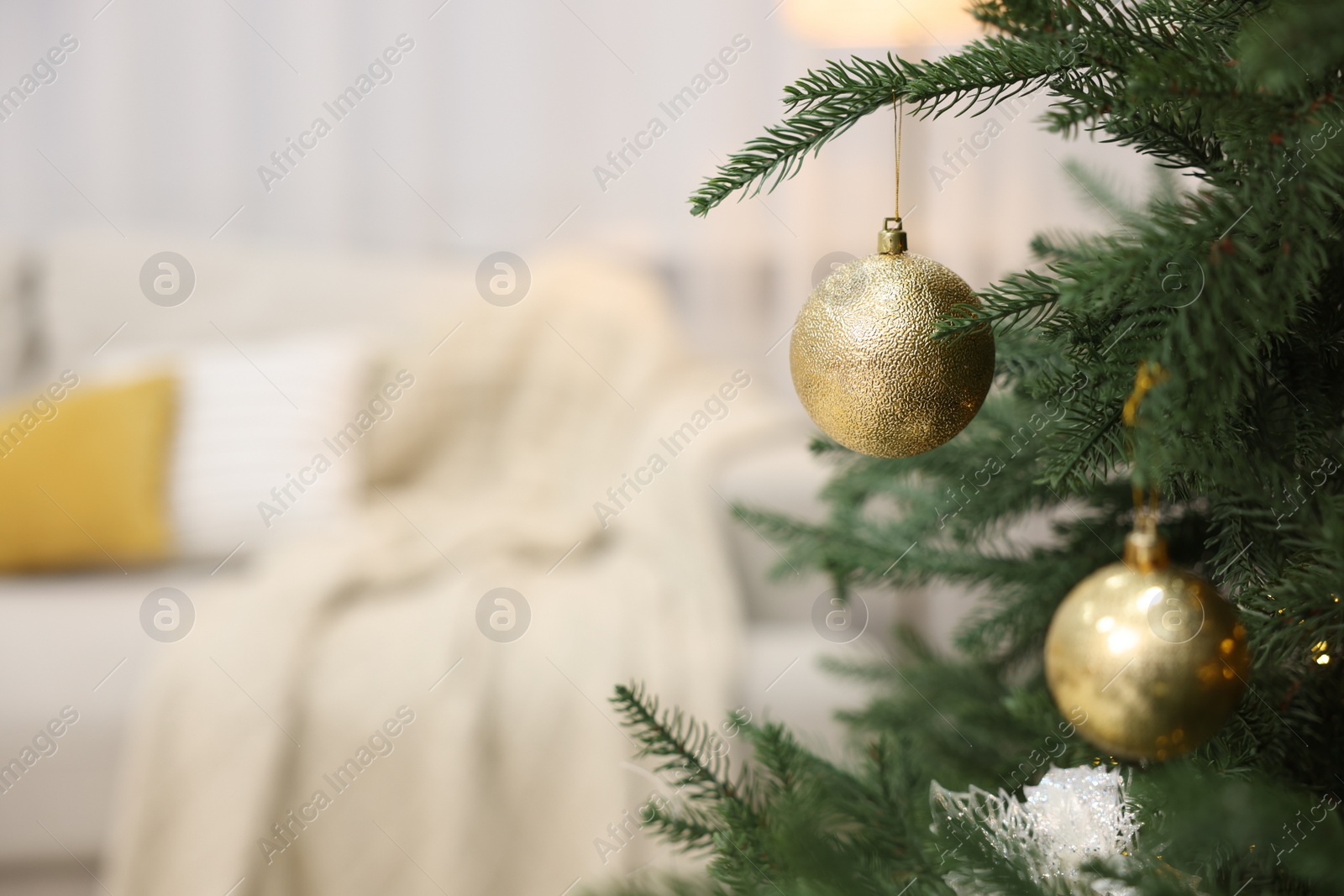 Photo of Christmas balls hanging on fir tree indoors, closeup. Space for text