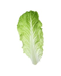 Fresh leaf of green romaine lettuce isolated on white