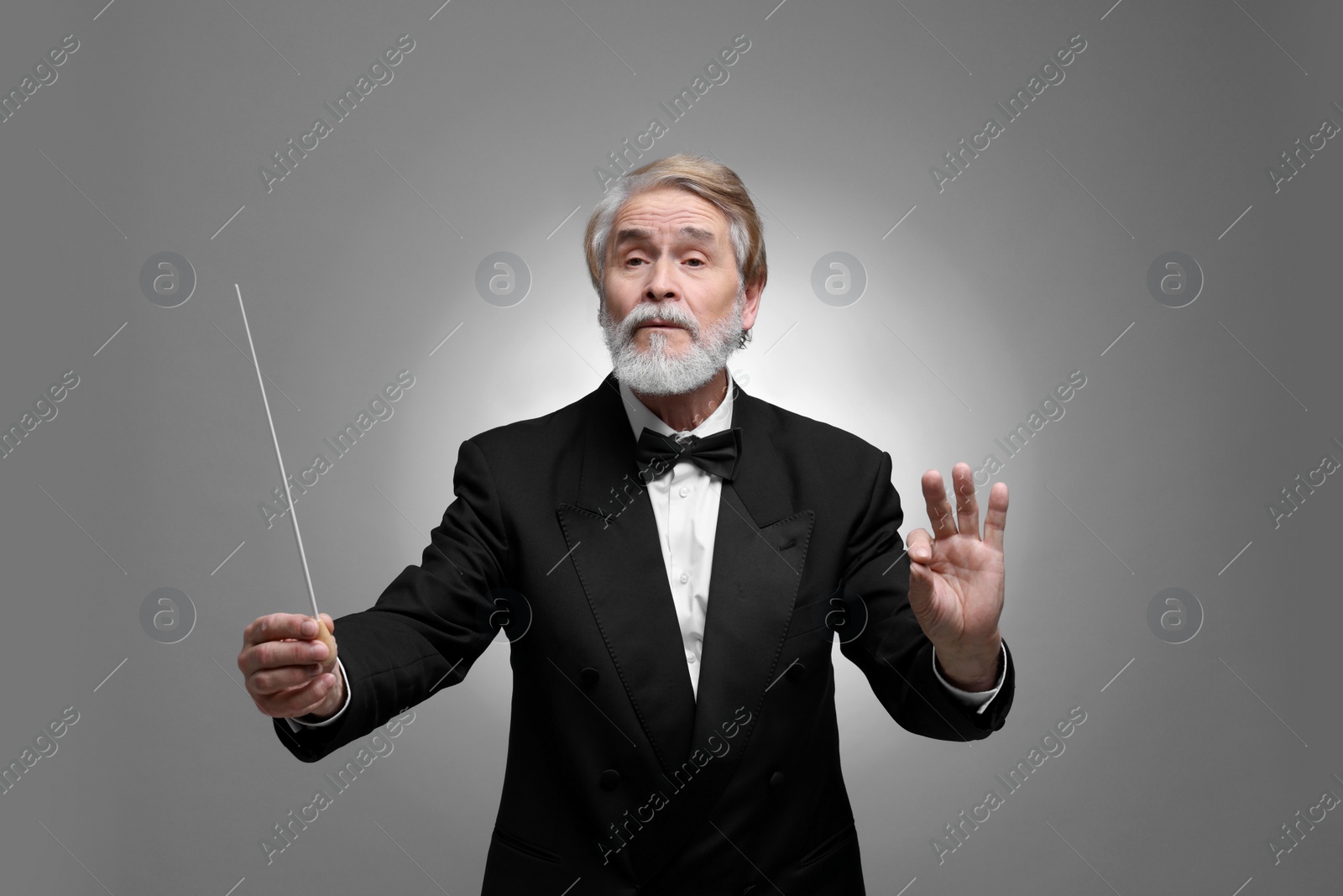 Photo of Professional conductor with baton on grey background