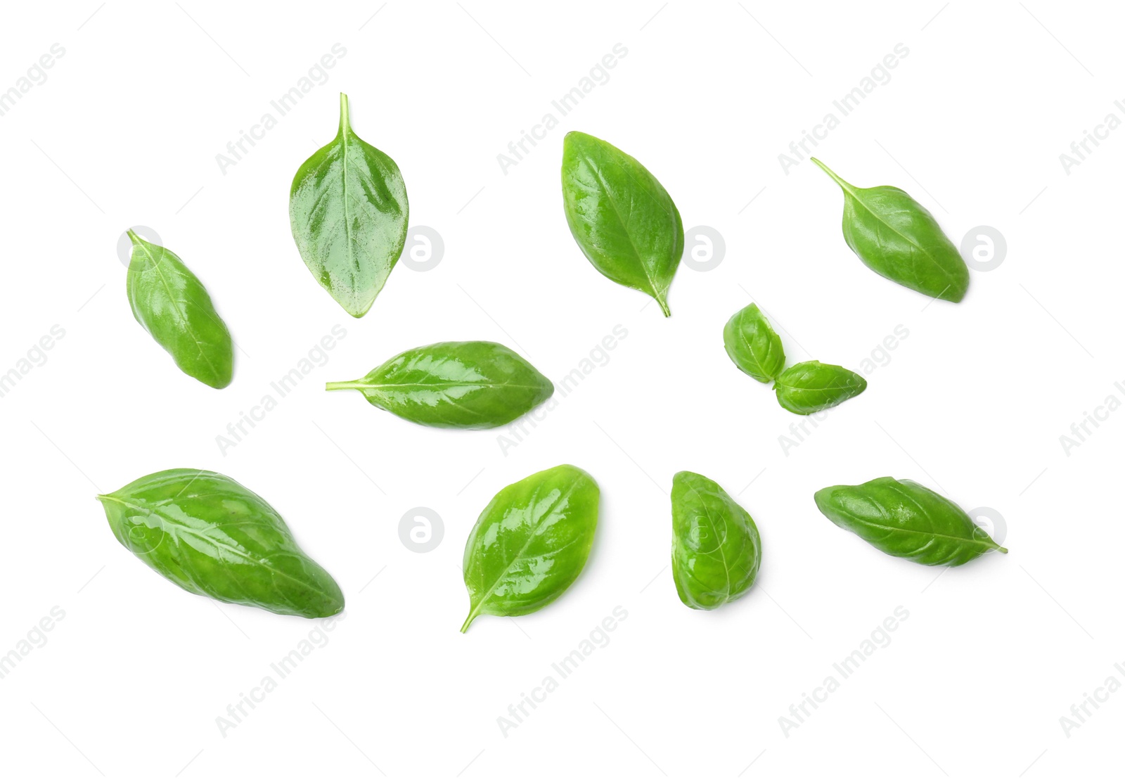 Photo of Fresh green basil leaves on white background, top view