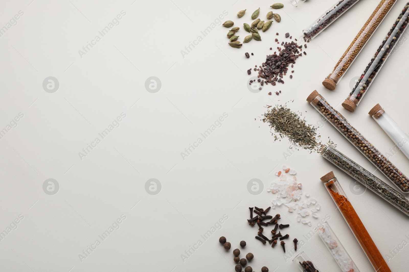 Photo of Test tubes with various spices on white background, flat lay. Space for text