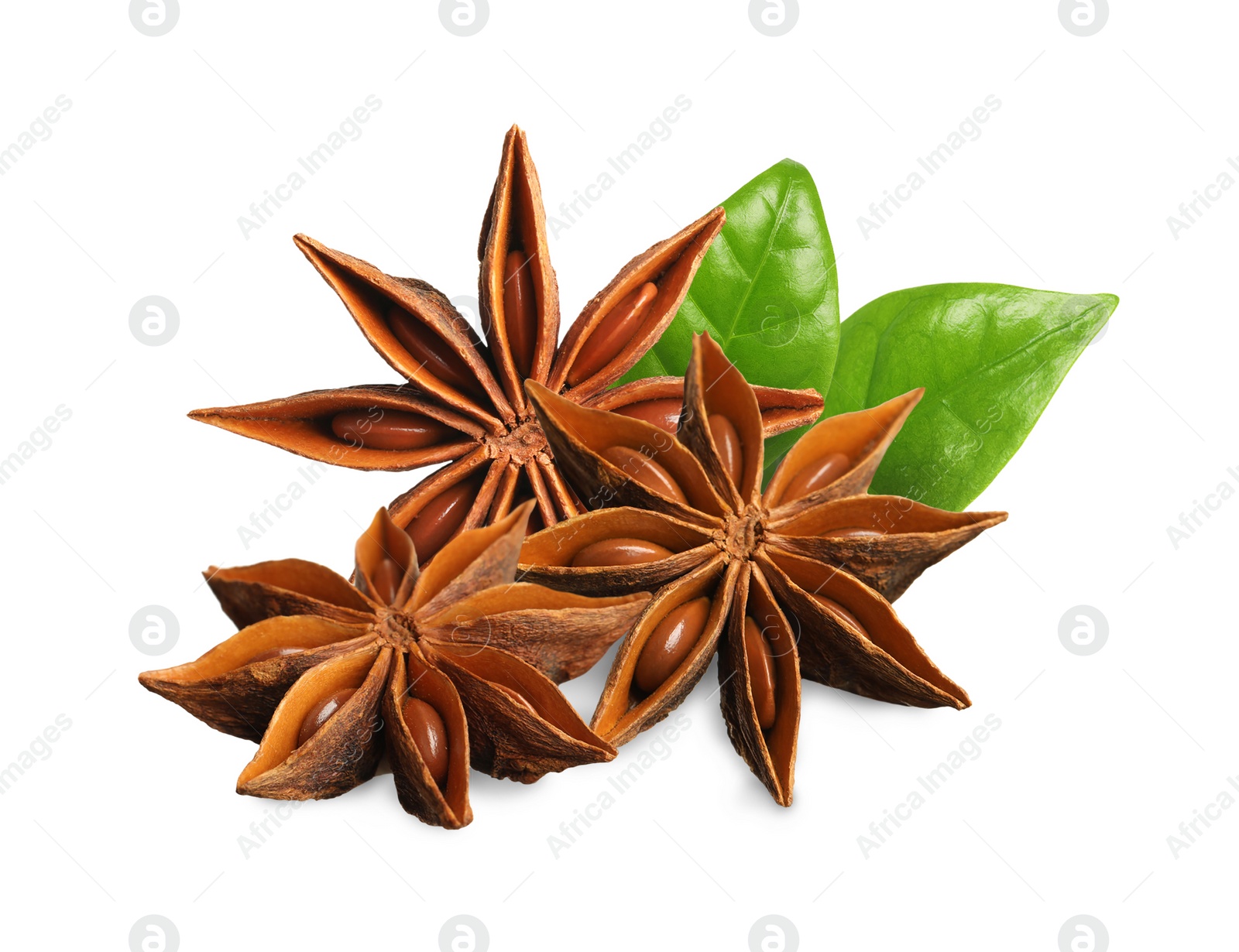 Image of Aromatic dry anise stars and green leaves on white background