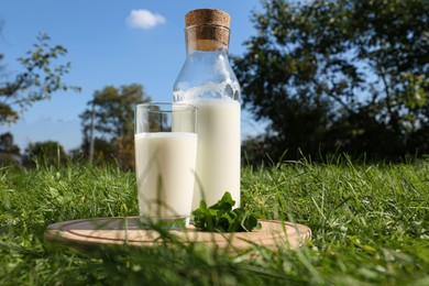 Glass and bottle of milk on wooden board outdoors