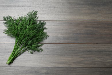 Bunch of fresh dill on wooden table, top view. Space for text