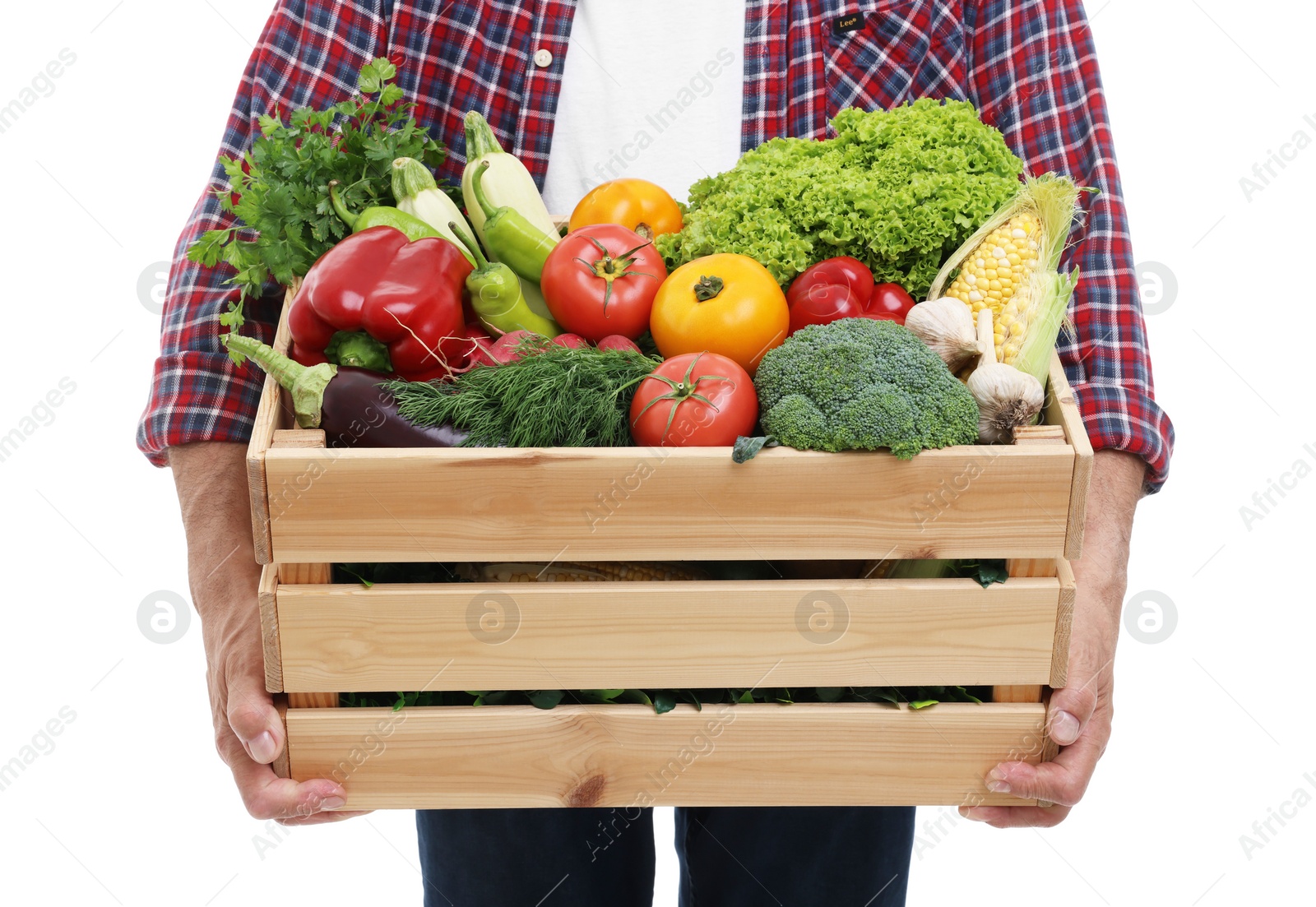 Photo of Harvesting season. Farmer holding wooden crate with vegetables on white background, closeup