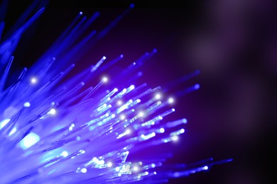 Image of Optical fiber strands transmitting blue light on black background, macro view