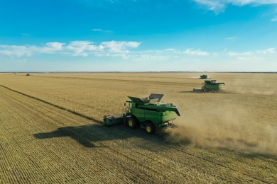 Modern combine harvesters working in field on sunny day. Agriculture industry