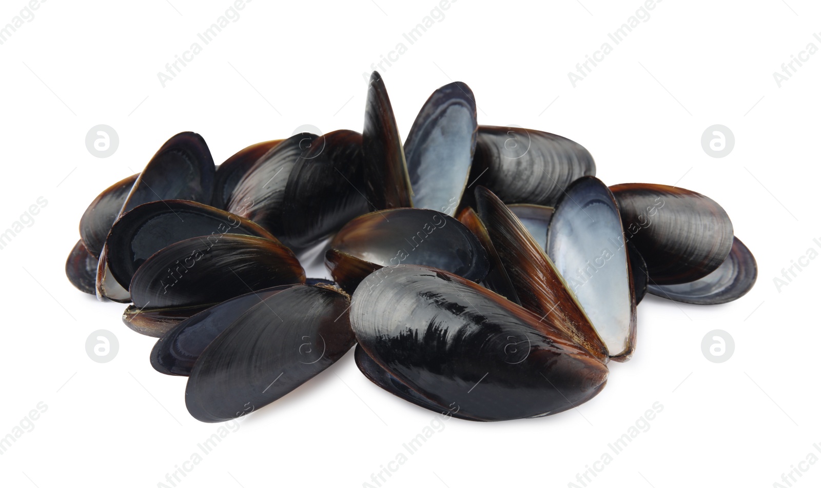 Photo of Open empty mussel shells on white background