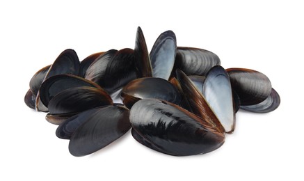 Photo of Open empty mussel shells on white background