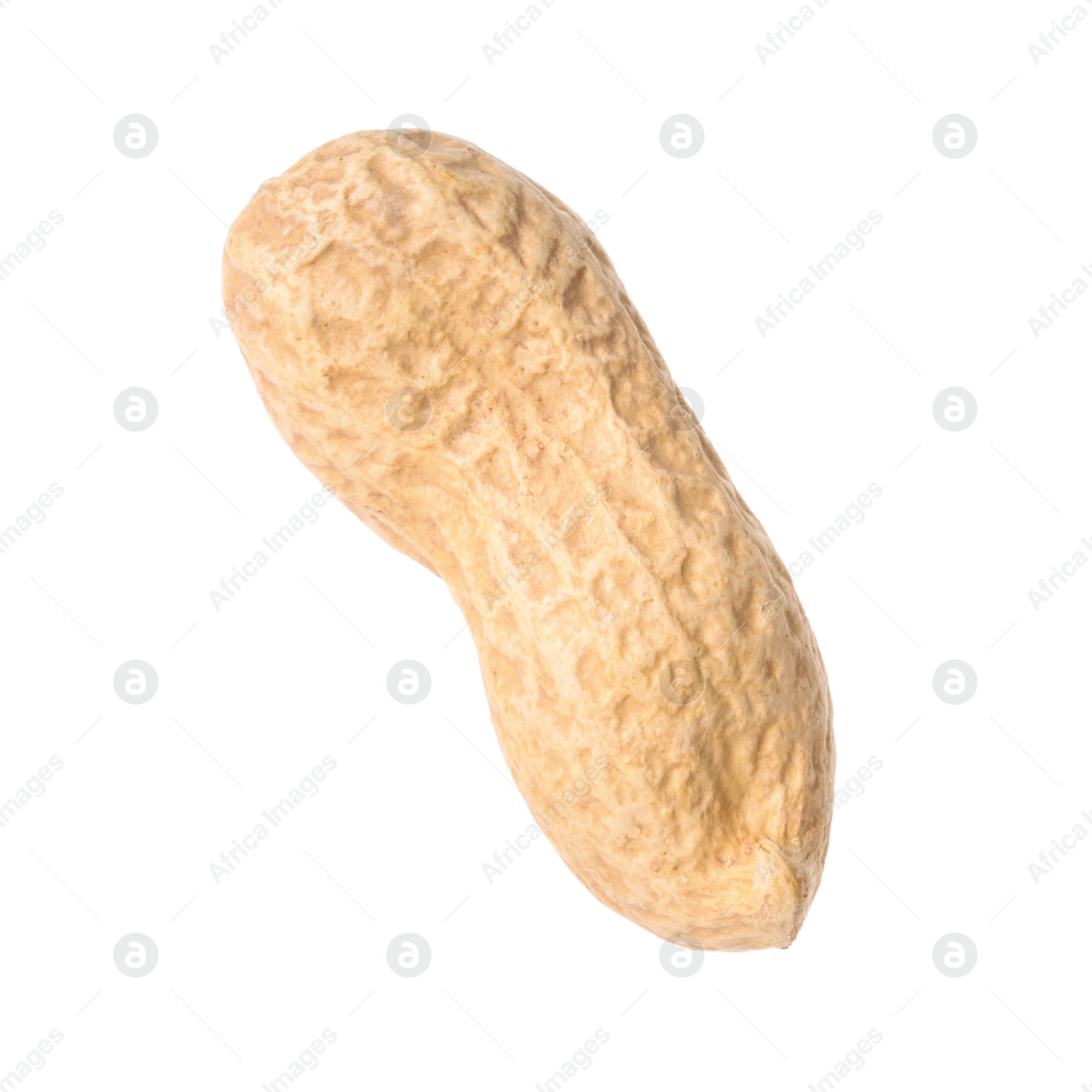 Photo of One fresh unpeeled peanut isolated on white