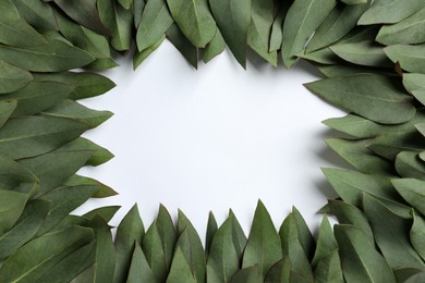 Frame made of eucalyptus leaves on white background, top view. Space for text