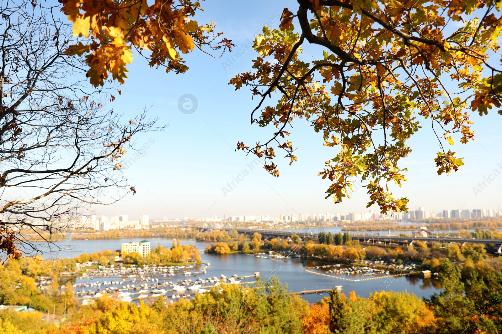 Photo of Picturesque view of river and trees with bright leaves. Autumn season