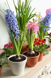 Photo of Different beautiful potted flowers on table near white wall