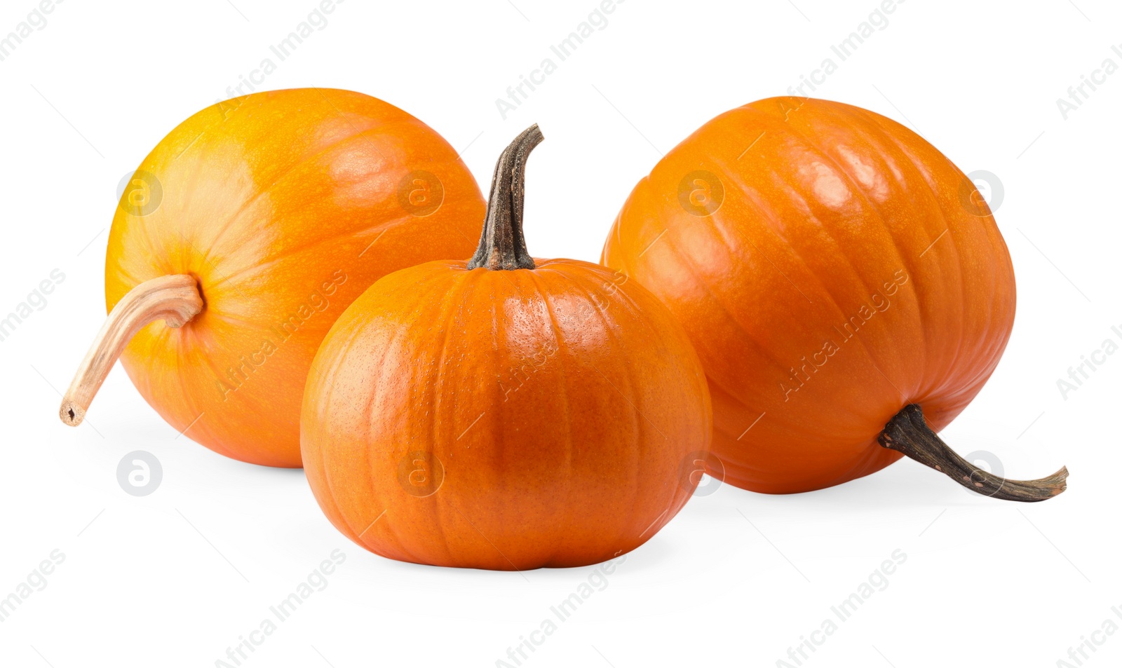 Photo of Many fresh orange pumpkins isolated on white