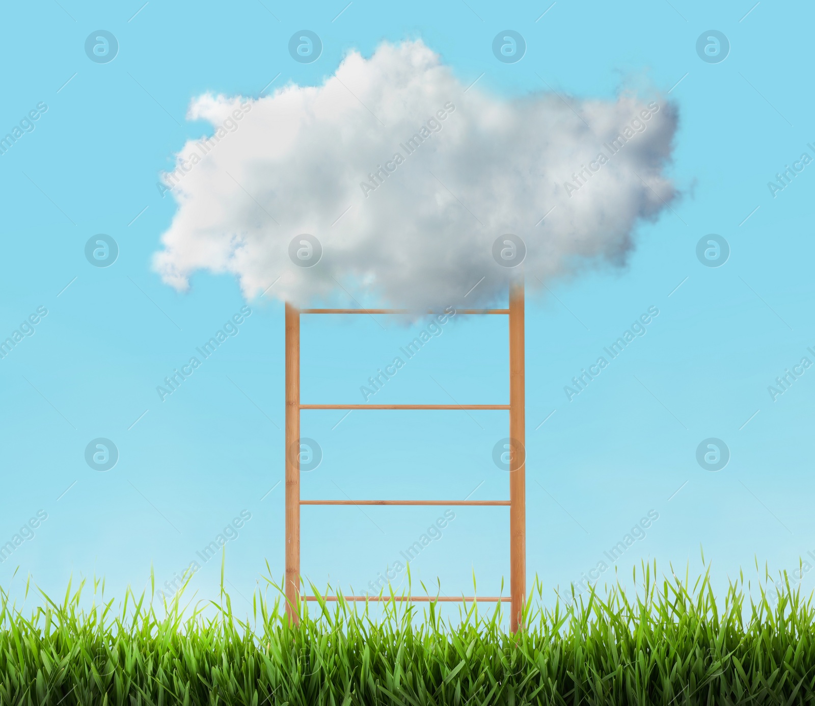 Image of Wooden ladder with cloud in green field under blue sky. Conceptual design 