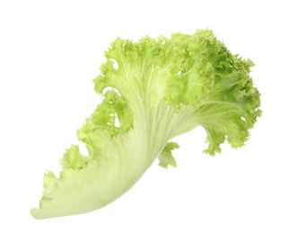 Photo of Fresh green lettuce leaf on white background