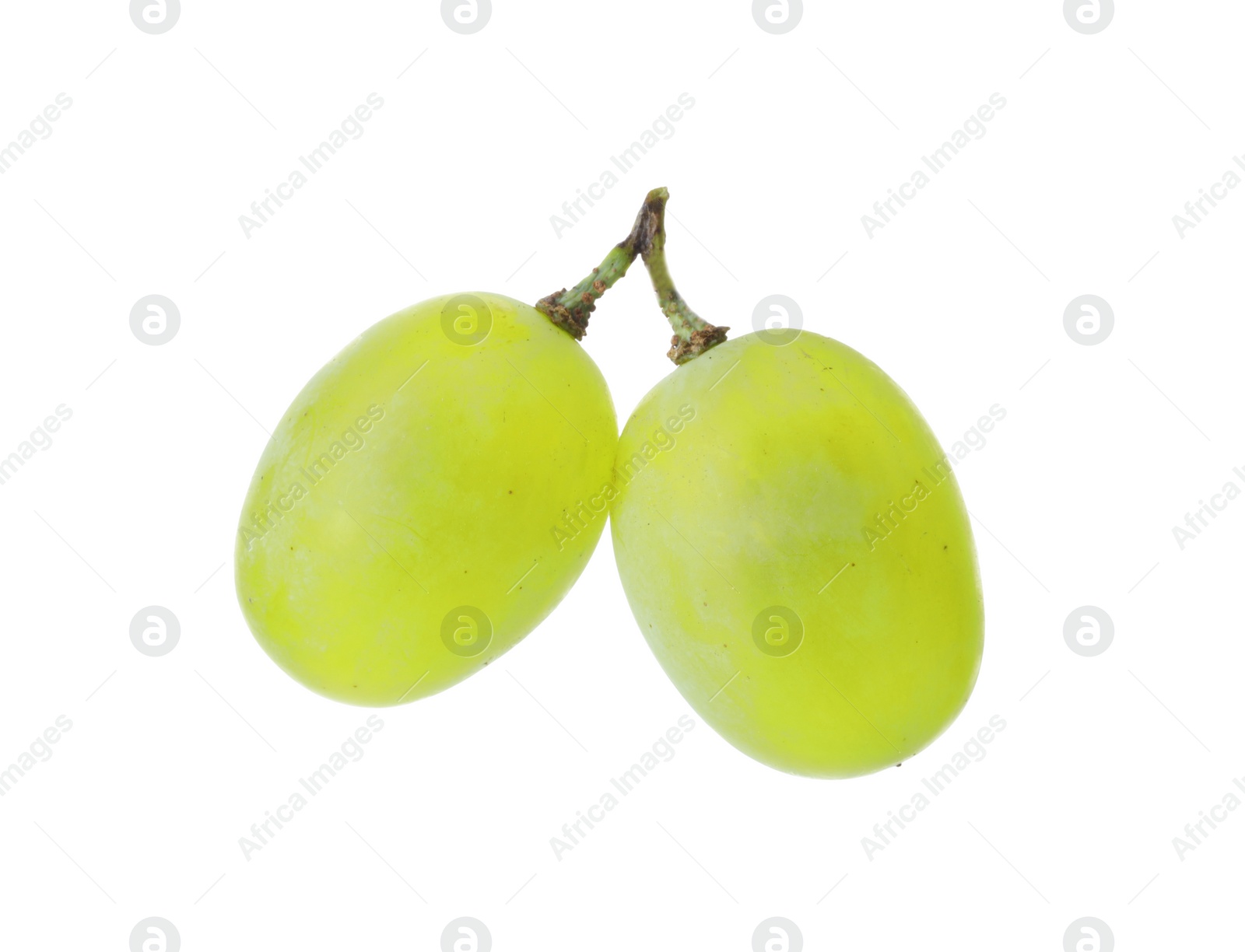 Photo of Two ripe green grapes isolated on white