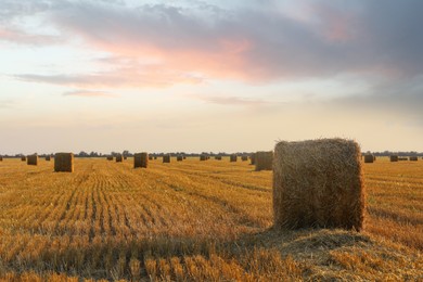 Beautiful view of agricultural field with hay bales