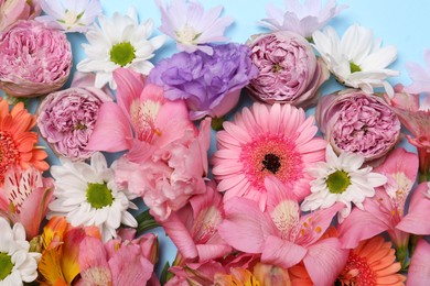 Flat lay composition with different beautiful flowers on light blue background