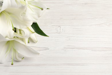 Beautiful lily flowers on white wooden table, flat lay. Space for text