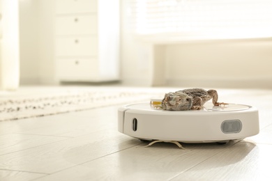 Photo of Robotic vacuum cleaner and bearded dragon lizard indoors. Space for text