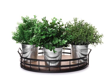 Artificial potted herbs on white background. Home decor