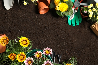 Flat lay composition with gardening equipment and flowers on soil, space for text