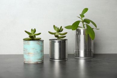 Photo of Beautiful houseplants in tin cans on grey stone table