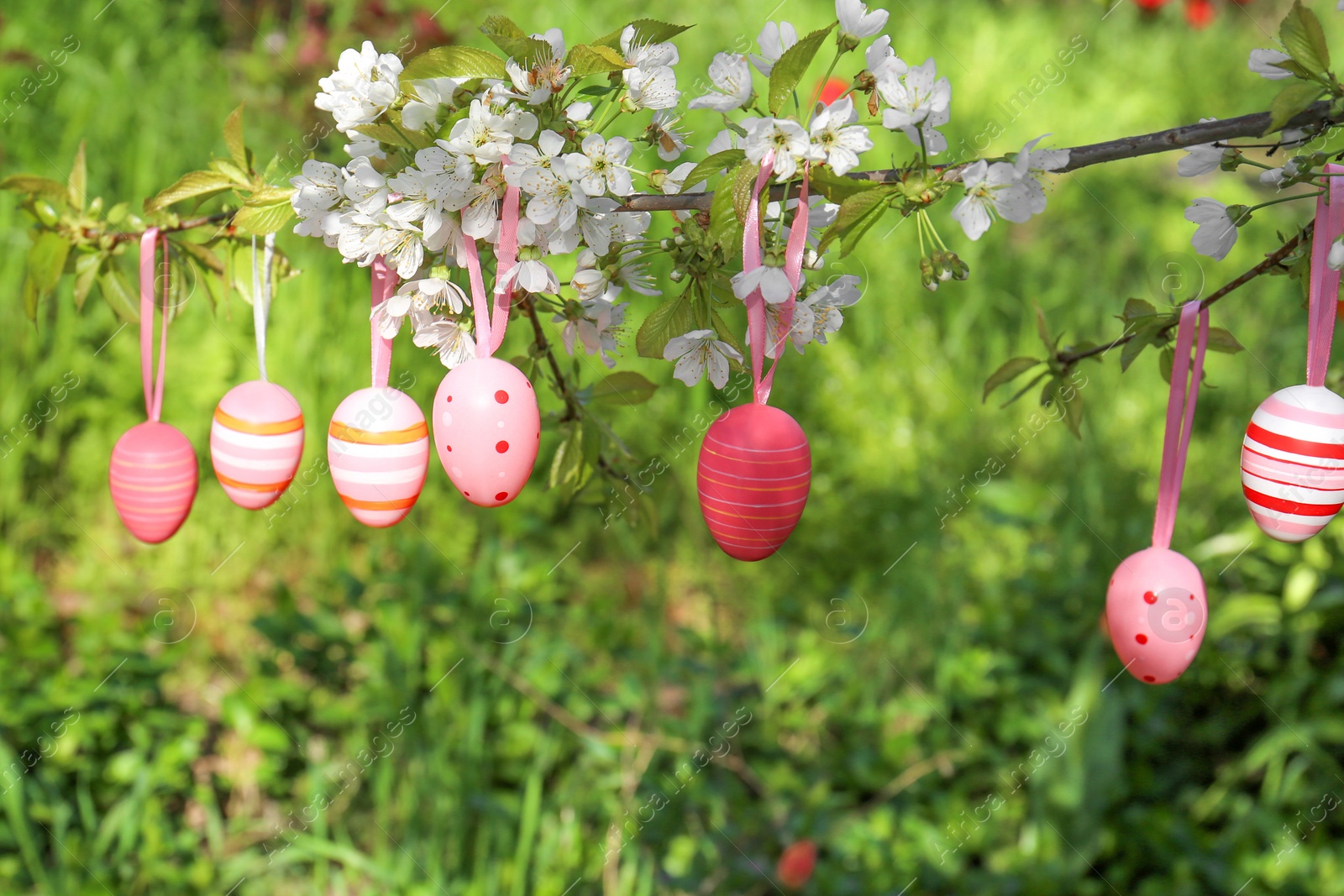 Photo of Beautifully painted Easter eggs hanging on blooming tree outdoors