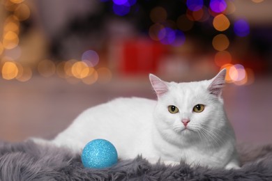 Photo of Christmas atmosphere. Adorable cat with bauble resting on rug against blurred lights