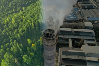 Image of Environmental pollution. Collage divided into dense forest and industrial factory with emissions, double exposure
