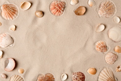 Seashells on beach sand, top view. Space for text